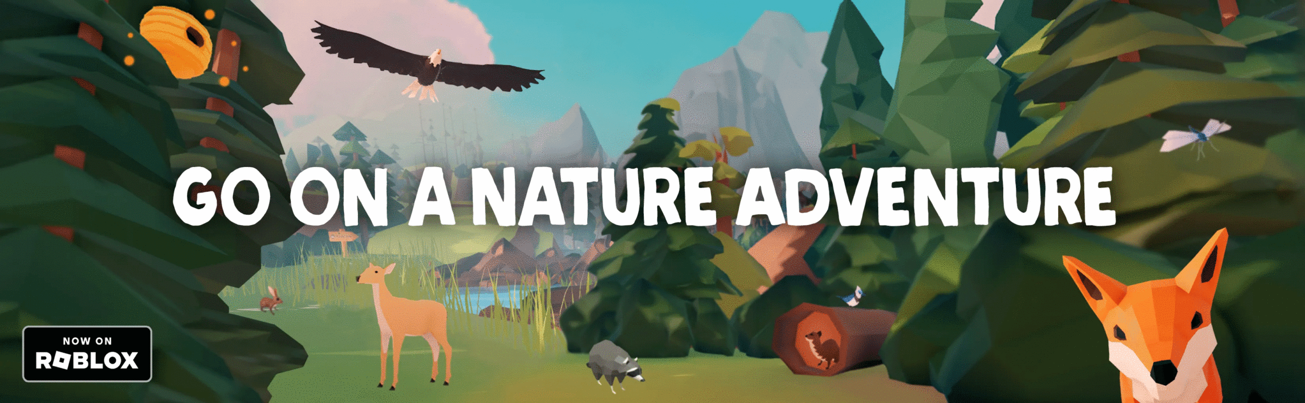 after-header-banner